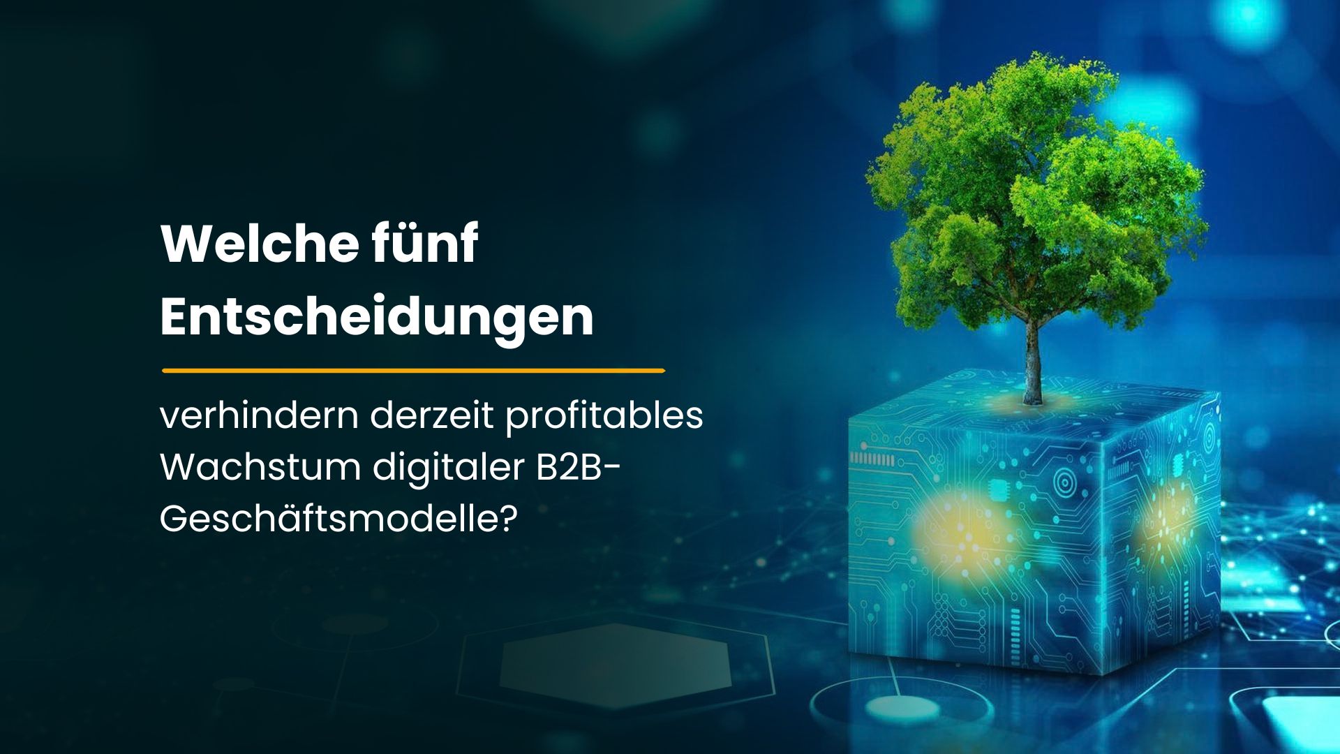 Welche fünf Entscheidungen verhindern derzeit profitables Wachstum